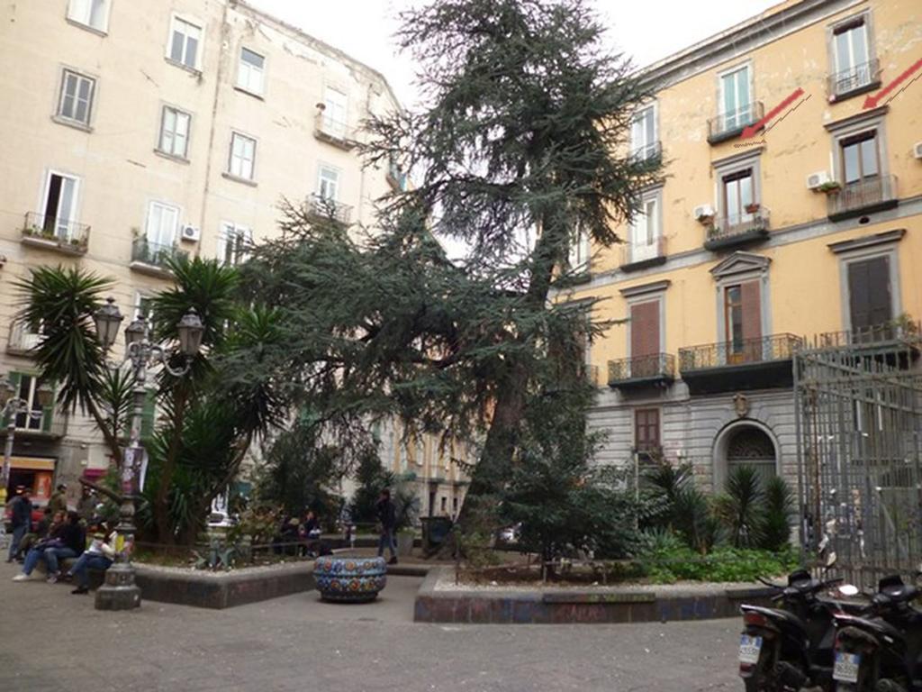 Apartment 25 Napoli Bagian luar foto